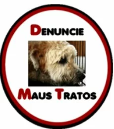 Maus tratos contra animais Maus tratos contra animais